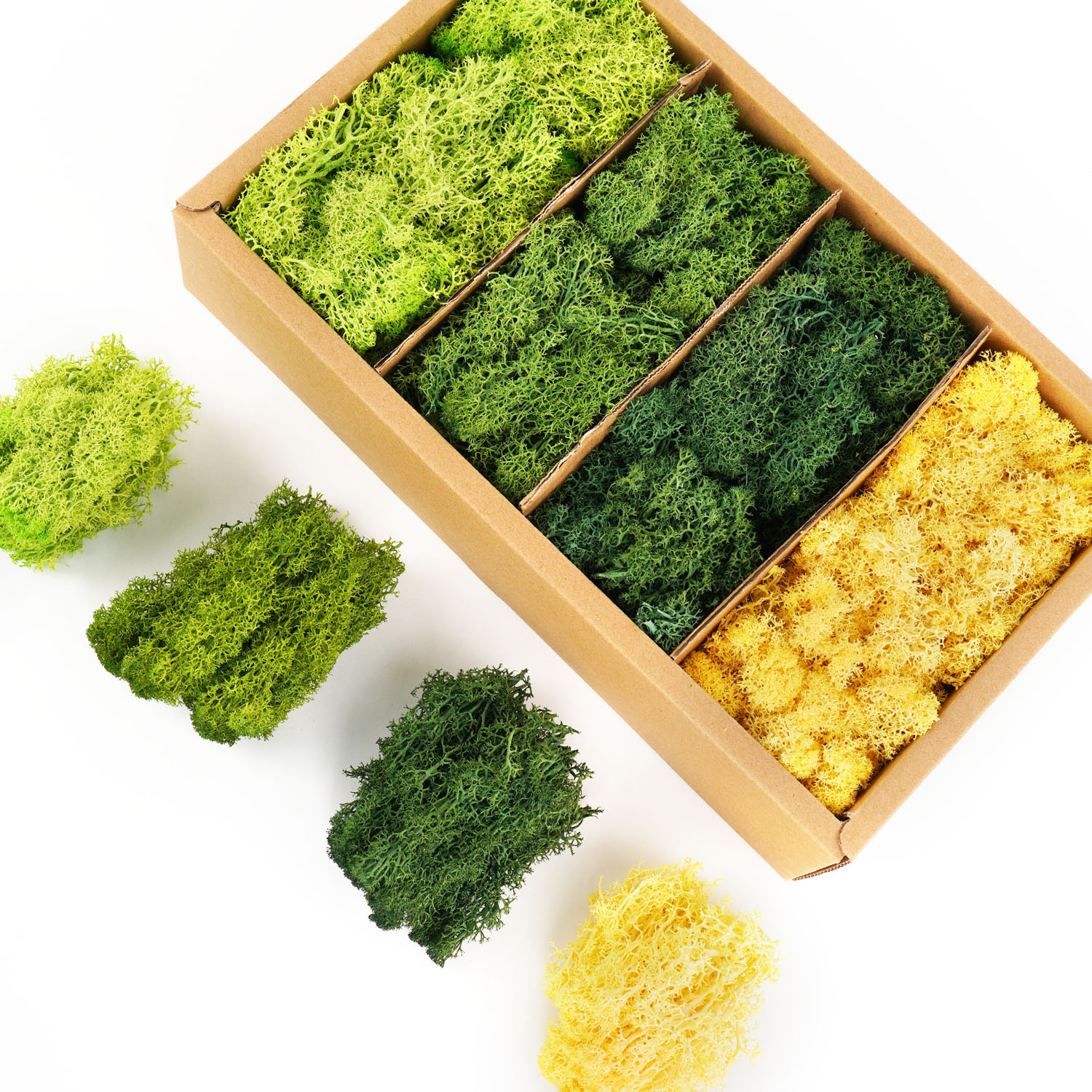 Sphagnum Moss Dry - Artificial Green Plants Eternal Life Moss