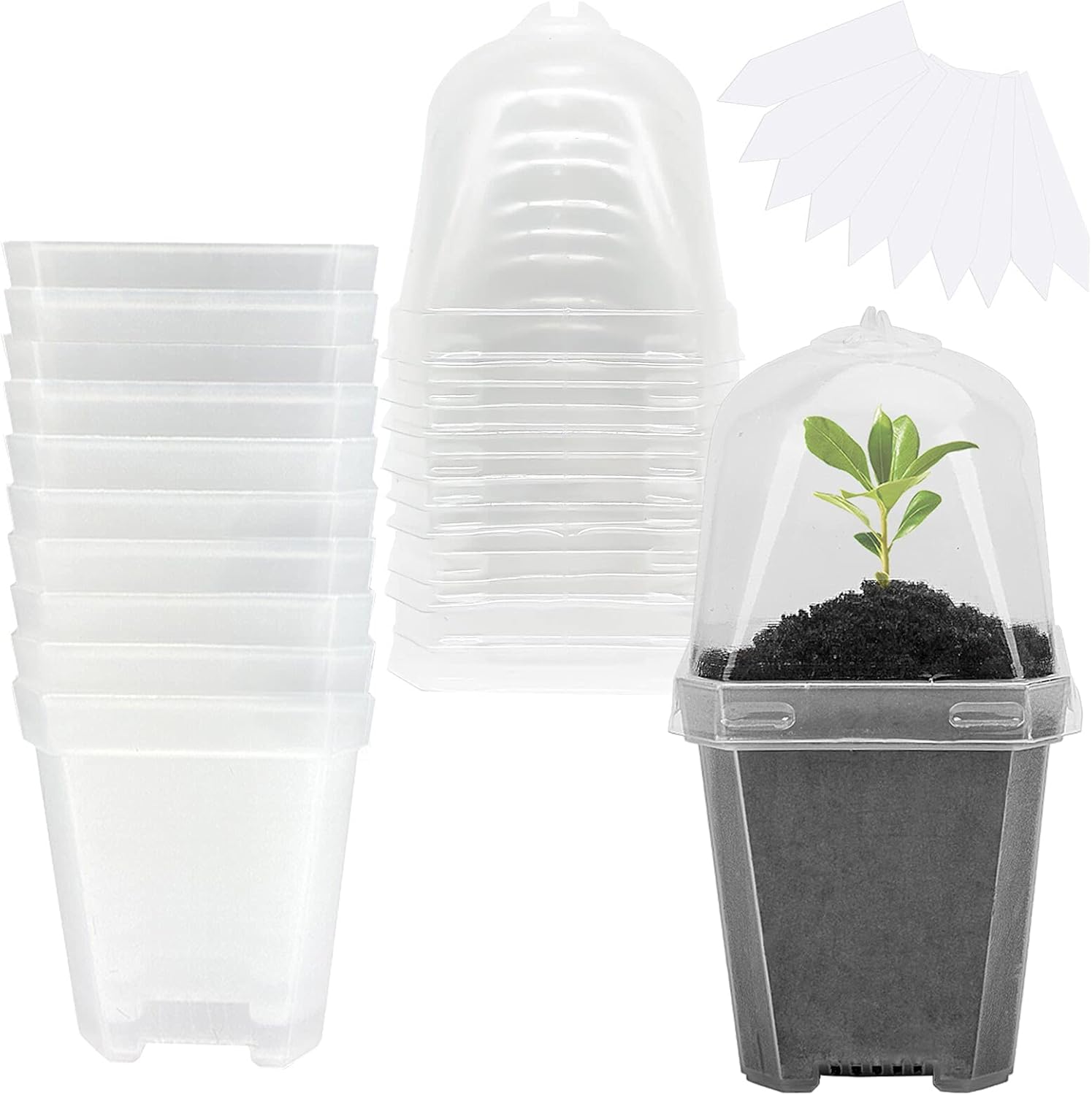 Plastic Dome Clear - 10 PCS Clear Plant Nursery Pots