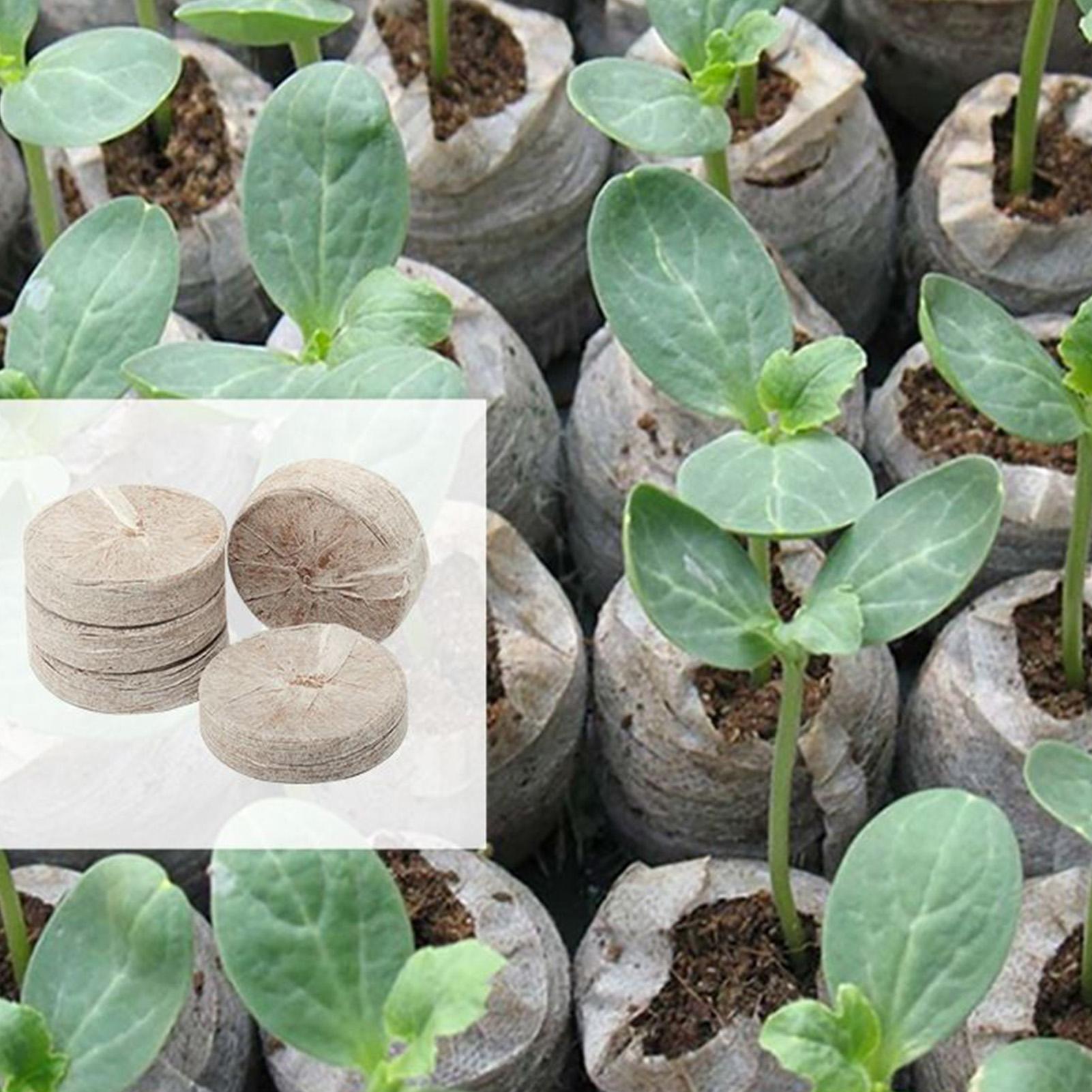 Peat Pellets 100 Piece Potting – Peat Pellet Tray Bewertung und Preis