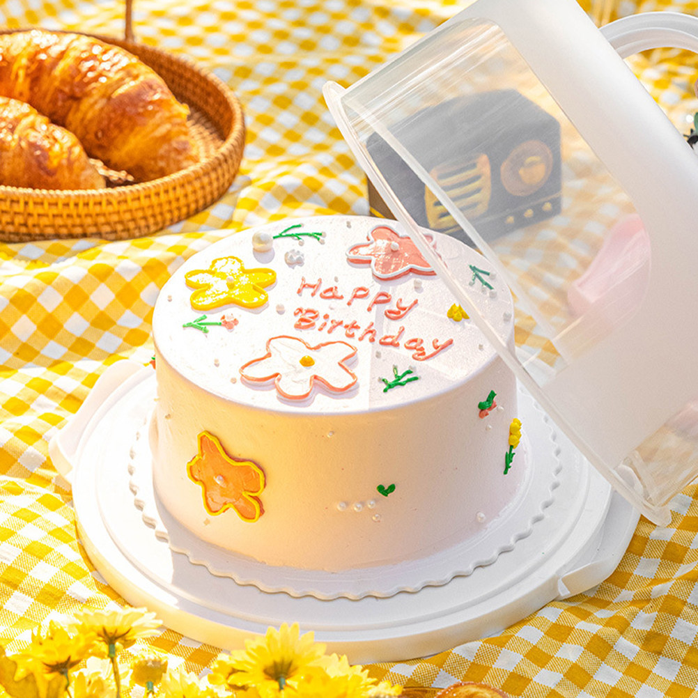 Food Safe Reusable Cake Box wi – Plastic Dome Clear Bewertung und Preis