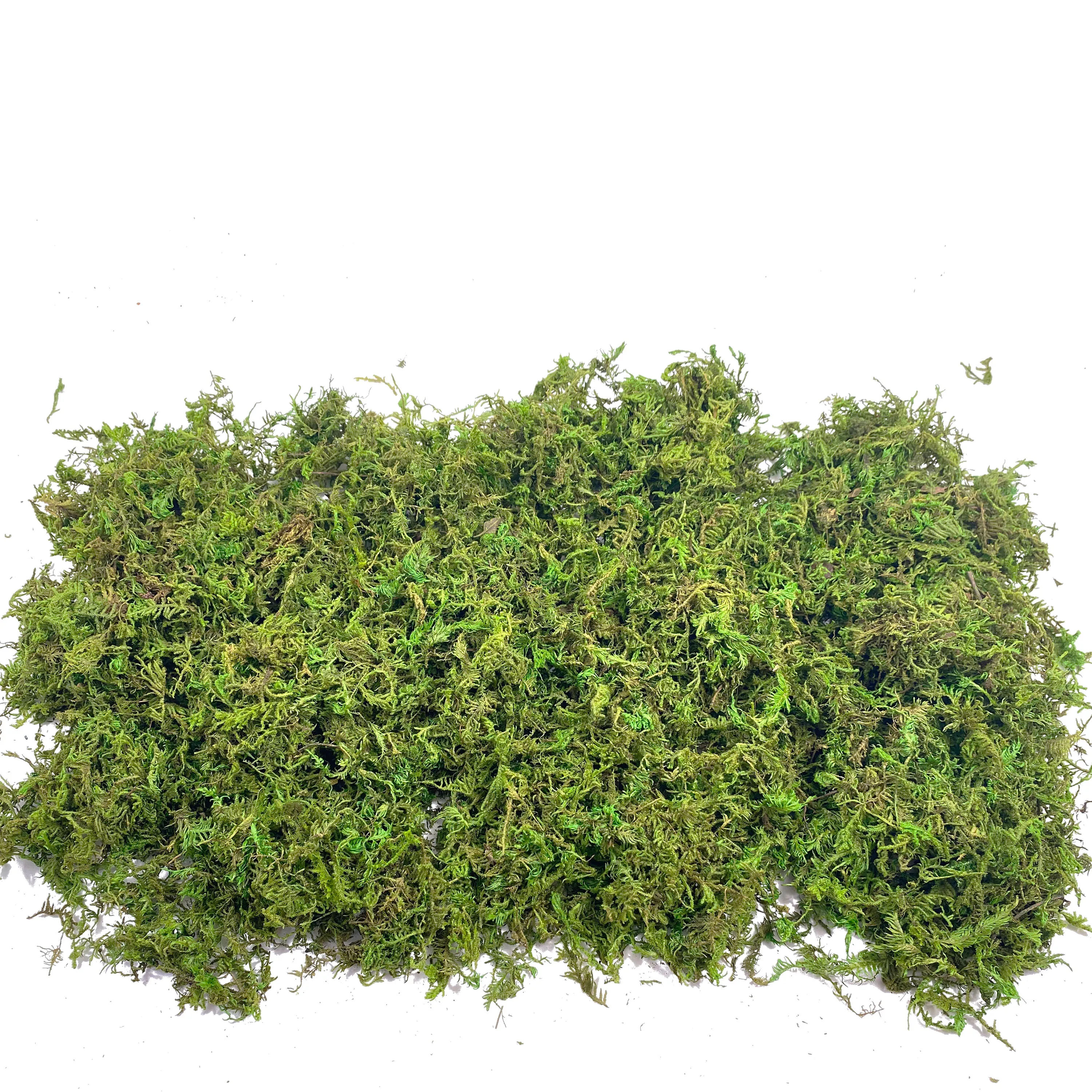 Fake Moss Artificial Moss for  – Sphagnum Moss Dry Bewertung und Preis