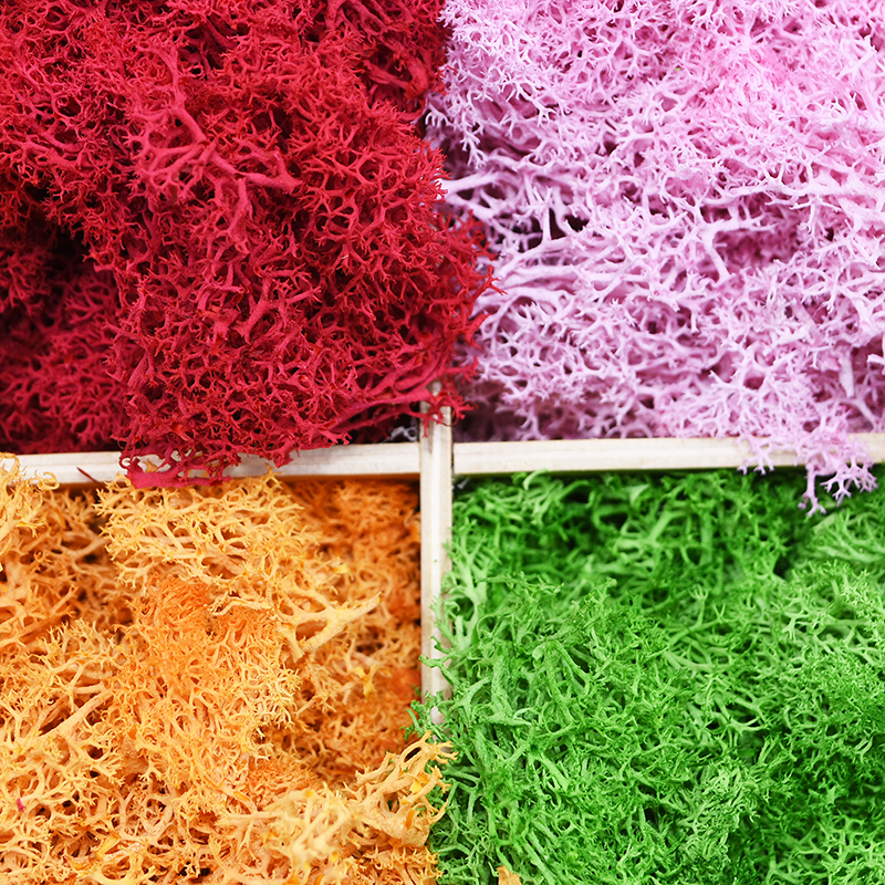 20/40g Artificial Green Plants – Sphagnum Moss Dry Bewertung und Preis