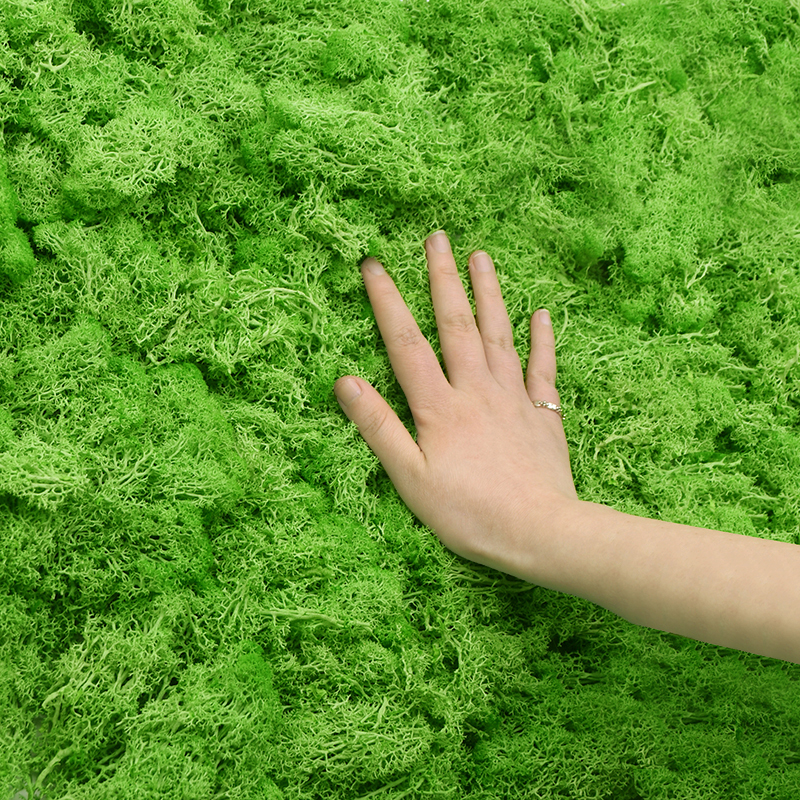20/40g Artificial Green Plants – Sphagnum Moss Dry Bewertung und Preis