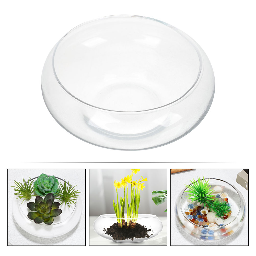 Wide Mouth Glass Vase Narcissu – Propagation Station Vase Bewertung und Preis