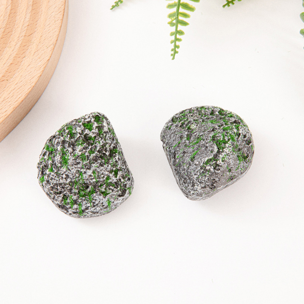 10PCS Mossy Gray Stone Multi-s – Sphagnum Moss Dry Bewertung und Preis