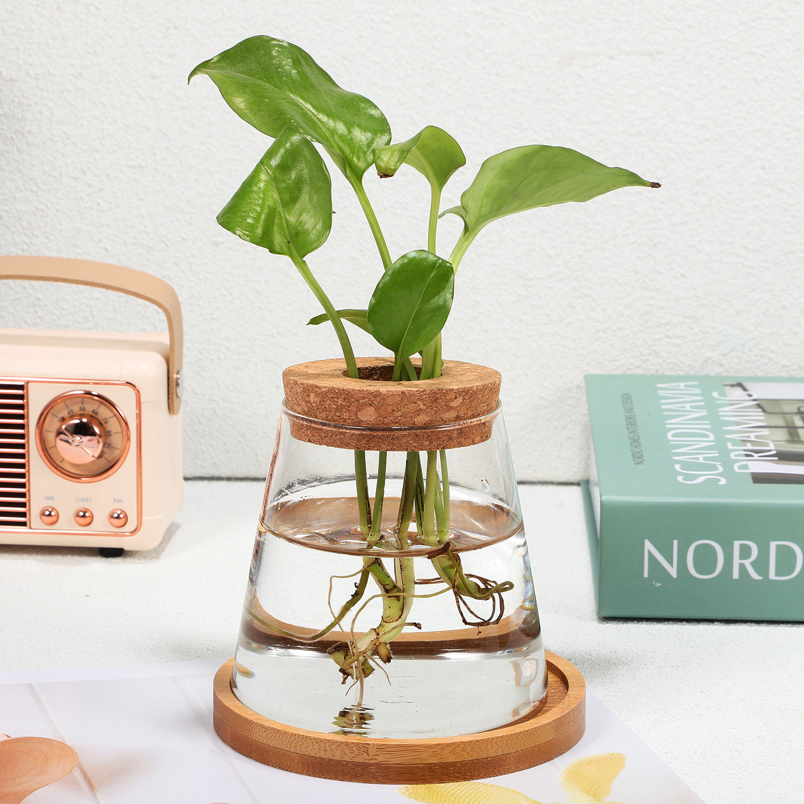 2Pcs Water Planters Glass Prop – Propagation Station Vase Bewertung und Preis