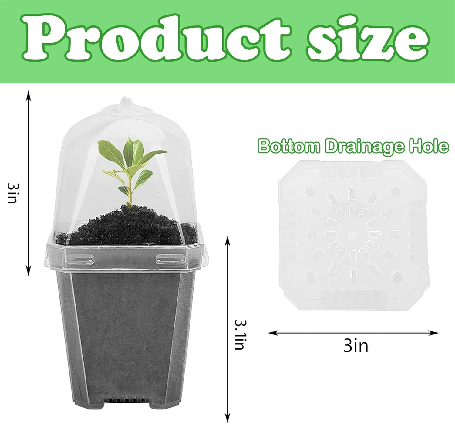 10 PCS Clear Plant Nursery Pot – Plastic Dome Clear Bewertung und Preis