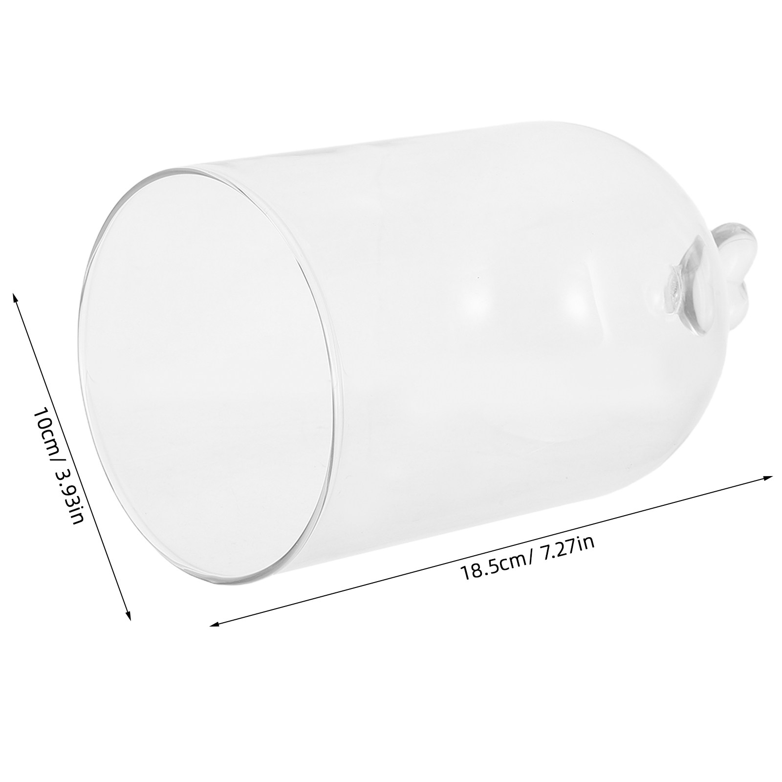 Glass Cloche 6.3x4 Transparent – Plastic Dome Clear Bewertung und Preis