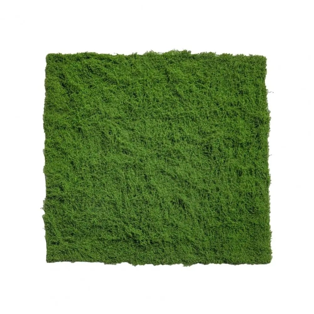 DIY Artificial Grass Rug Durab – Sphagnum Moss Dry Bewertung und Preis