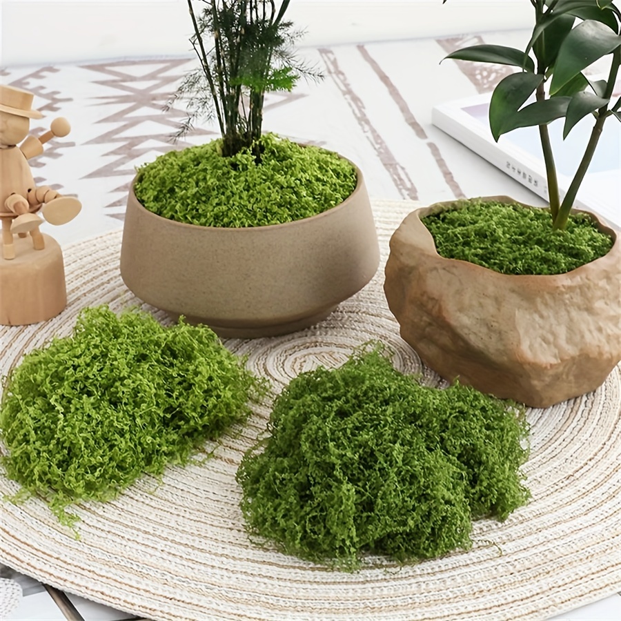 1pack Artificial Fake Moss, 1. – Sphagnum Moss Dry Bewertung und Preis