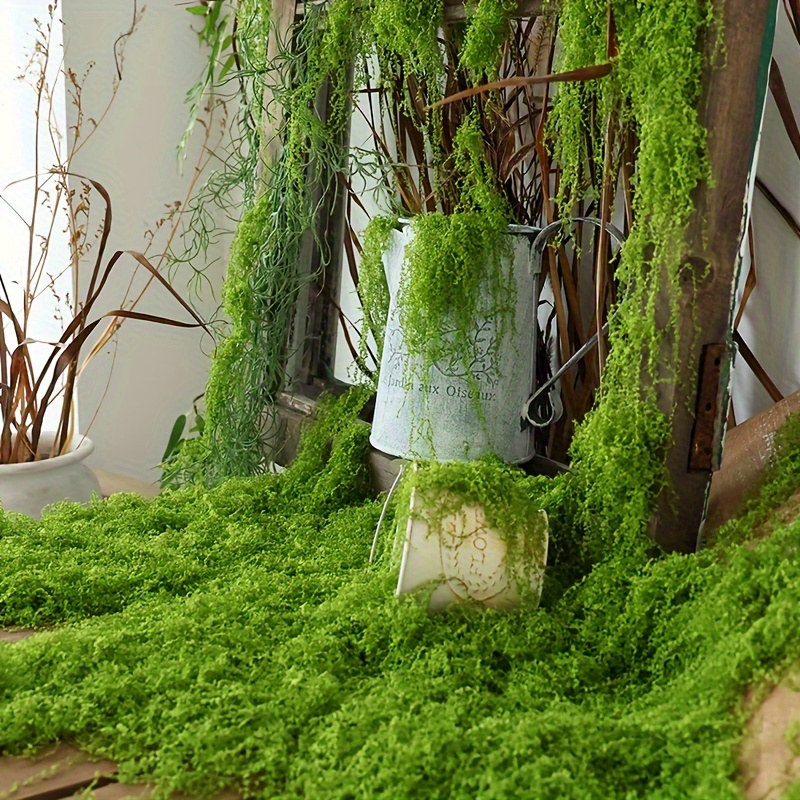 1pack Artificial Fake Moss, 1. – Sphagnum Moss Dry Bewertung und Preis