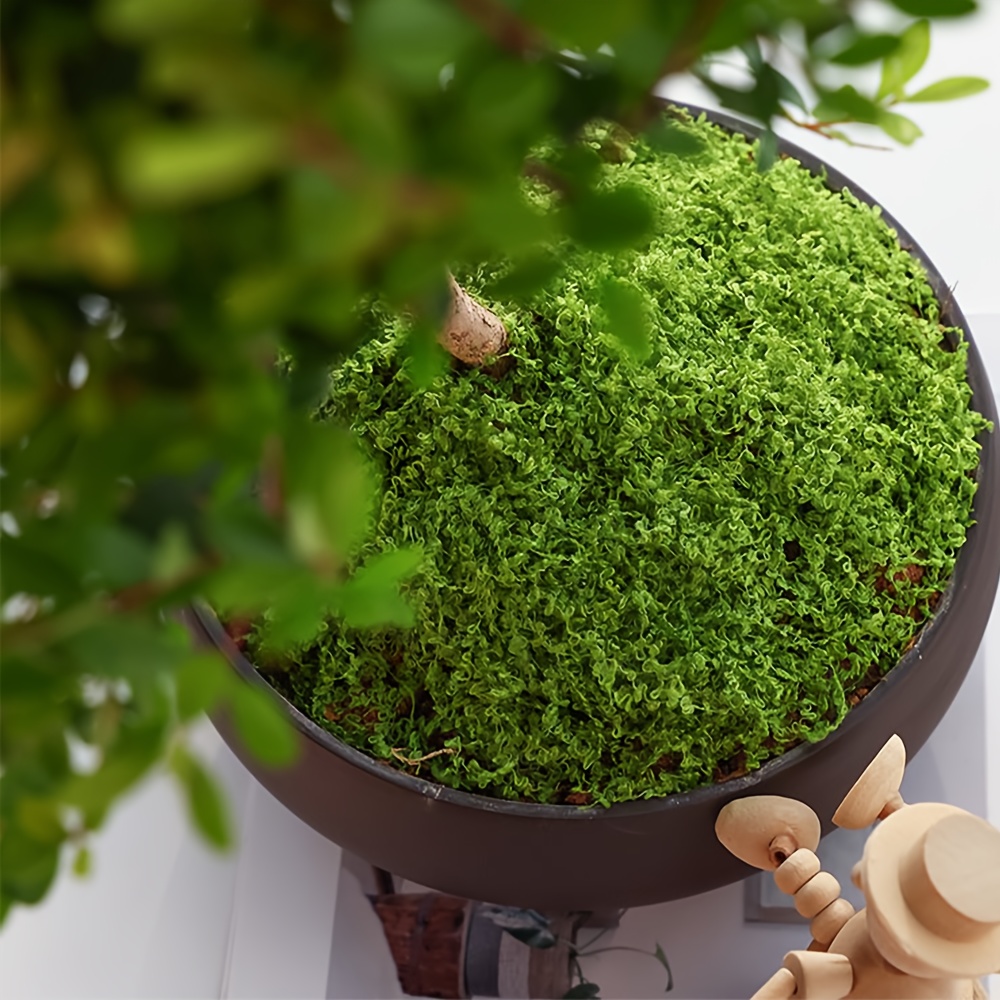 1pack Artificial Fake Moss, 1. – Sphagnum Moss Dry Bewertung und Preis