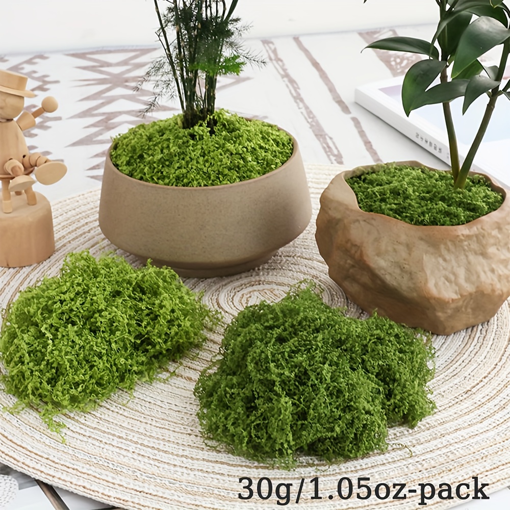 1pack Artificial Fake Moss, 1. – Sphagnum Moss Dry Bewertung und Preis