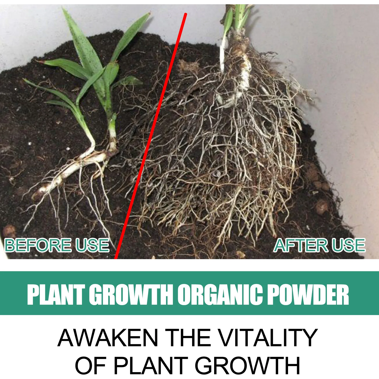 Fast Rooting Powder Plant Soil – Rooting Hormone Powder Bewertung und Preis