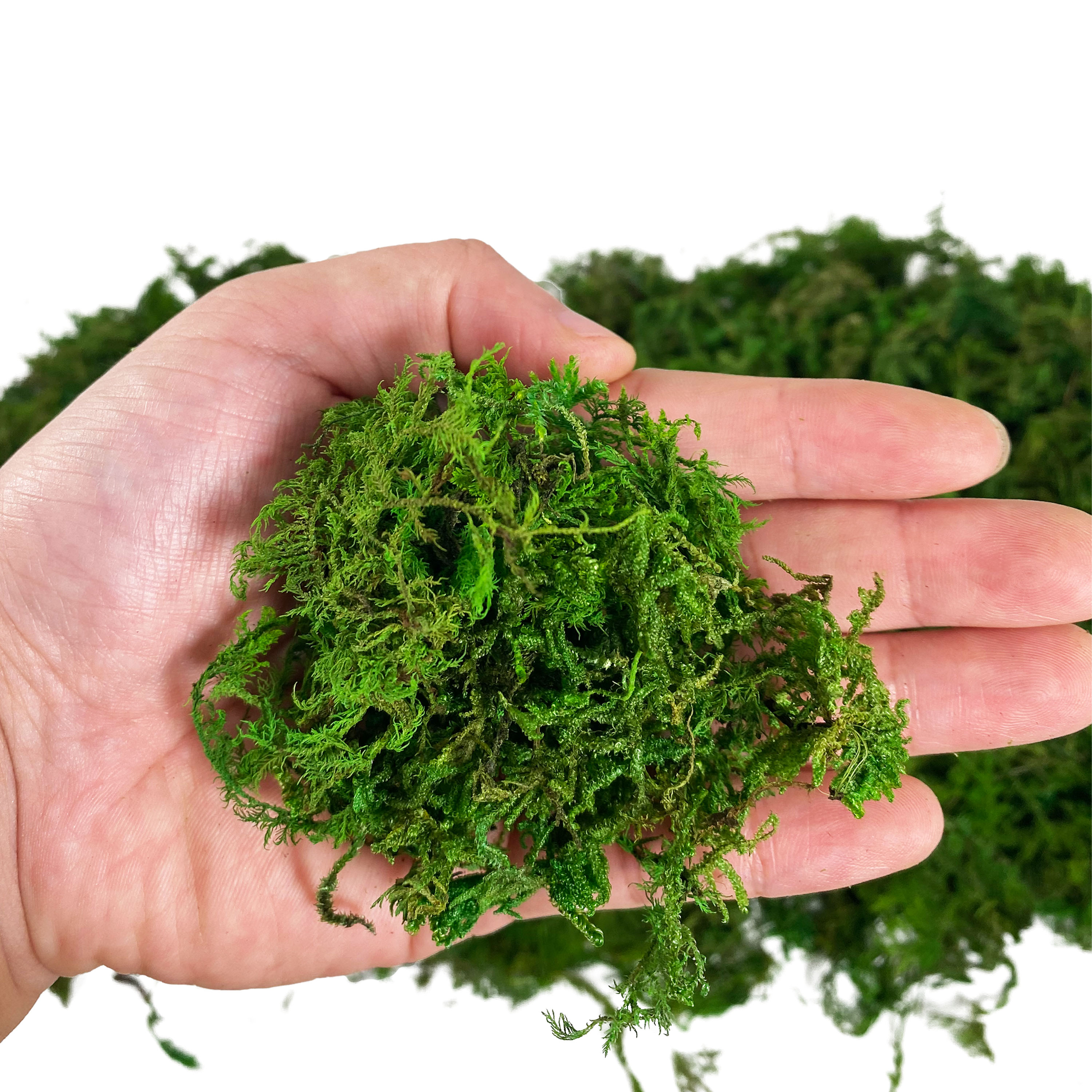 Artificial Fake Moss, Craft Mo – Sphagnum Moss Dry Bewertung und Preis