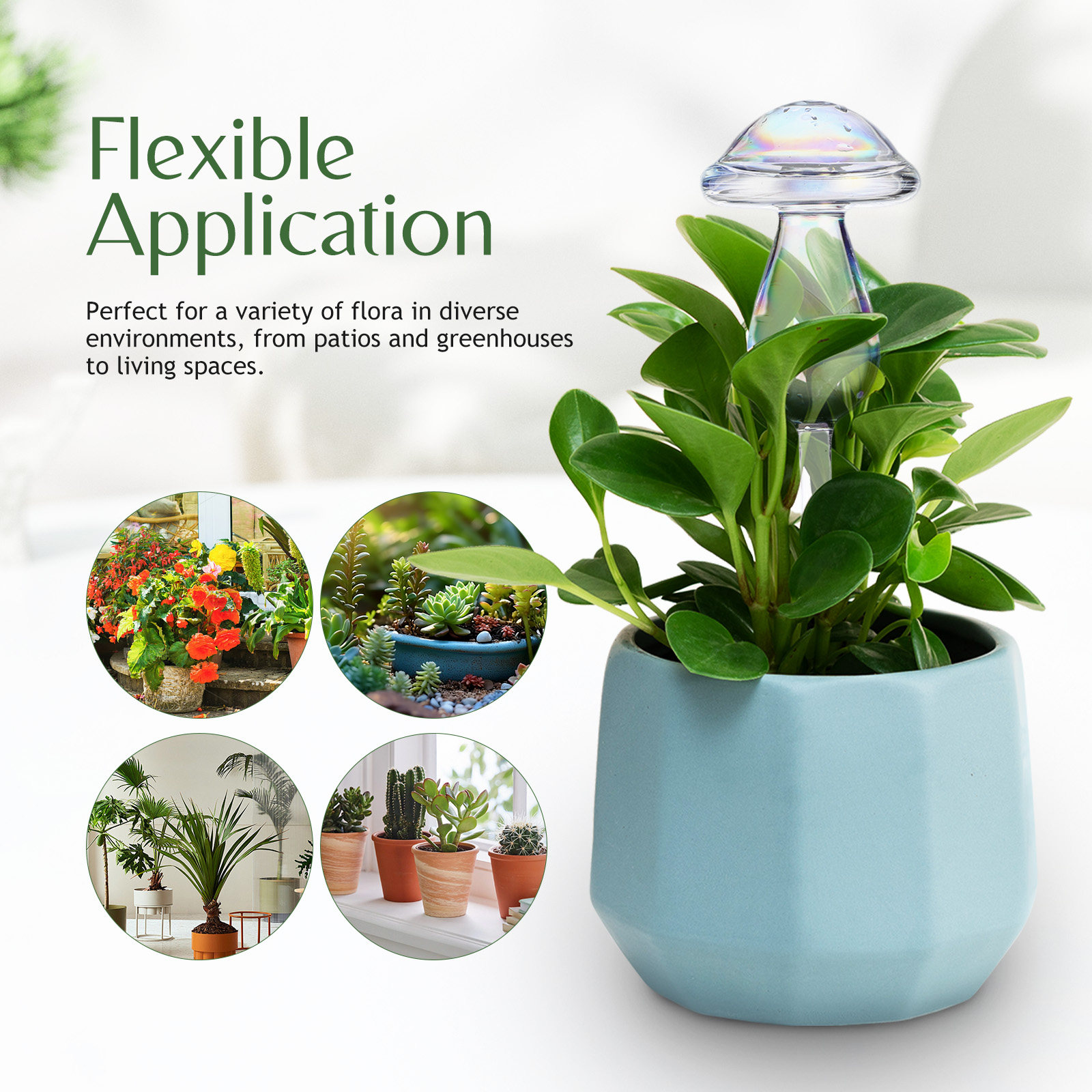 4 Pcs Pot Watering Device Plan – Self Watering Insert Bewertung und Preis