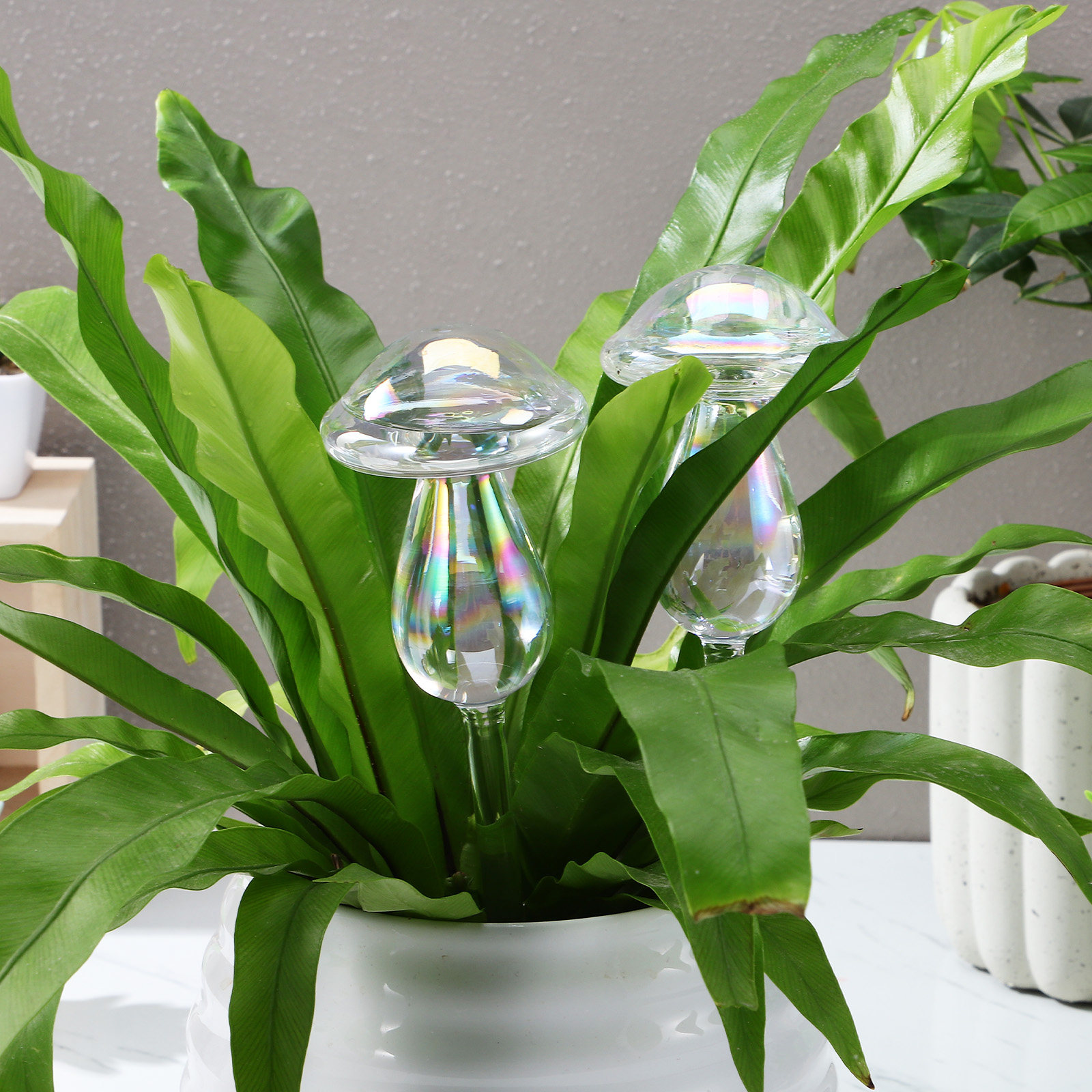 4 Pcs Pot Watering Device Plan – Self Watering Insert Bewertung und Preis