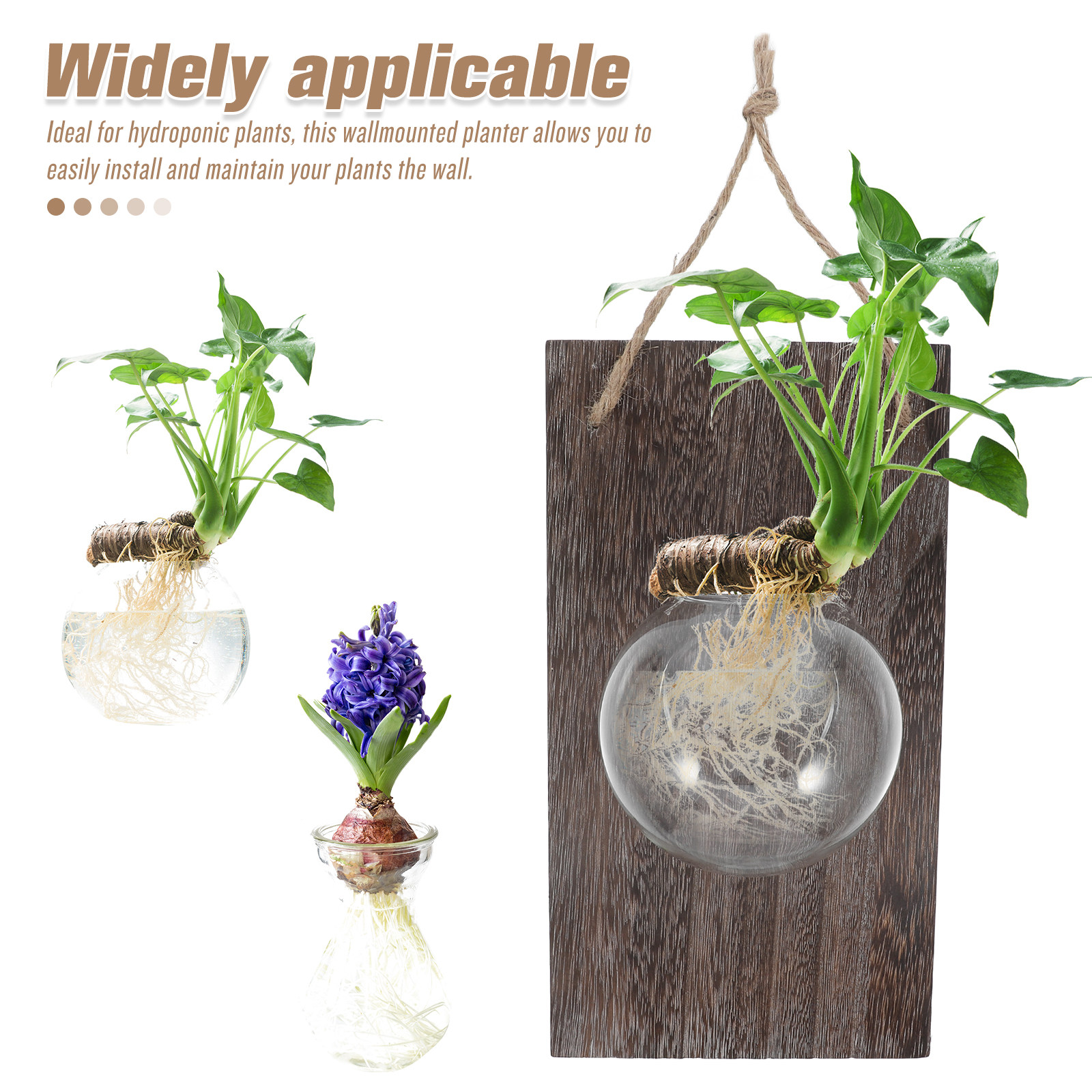Wall Mounted Glass Planter Han – Propagation Station Vase Bewertung und Preis