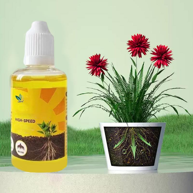 50ml Plant Root Stimulator Liq – Root Stimulator Liquid Bewertung und Preis