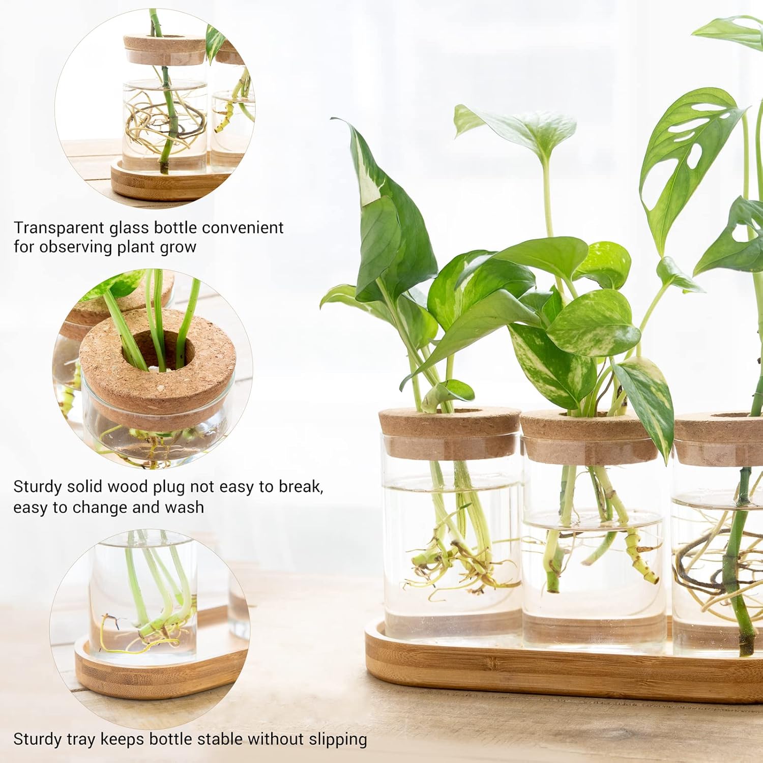 3 Pcs Glass Plant Propagation  – Propagation Station Vase Bewertung und Preis