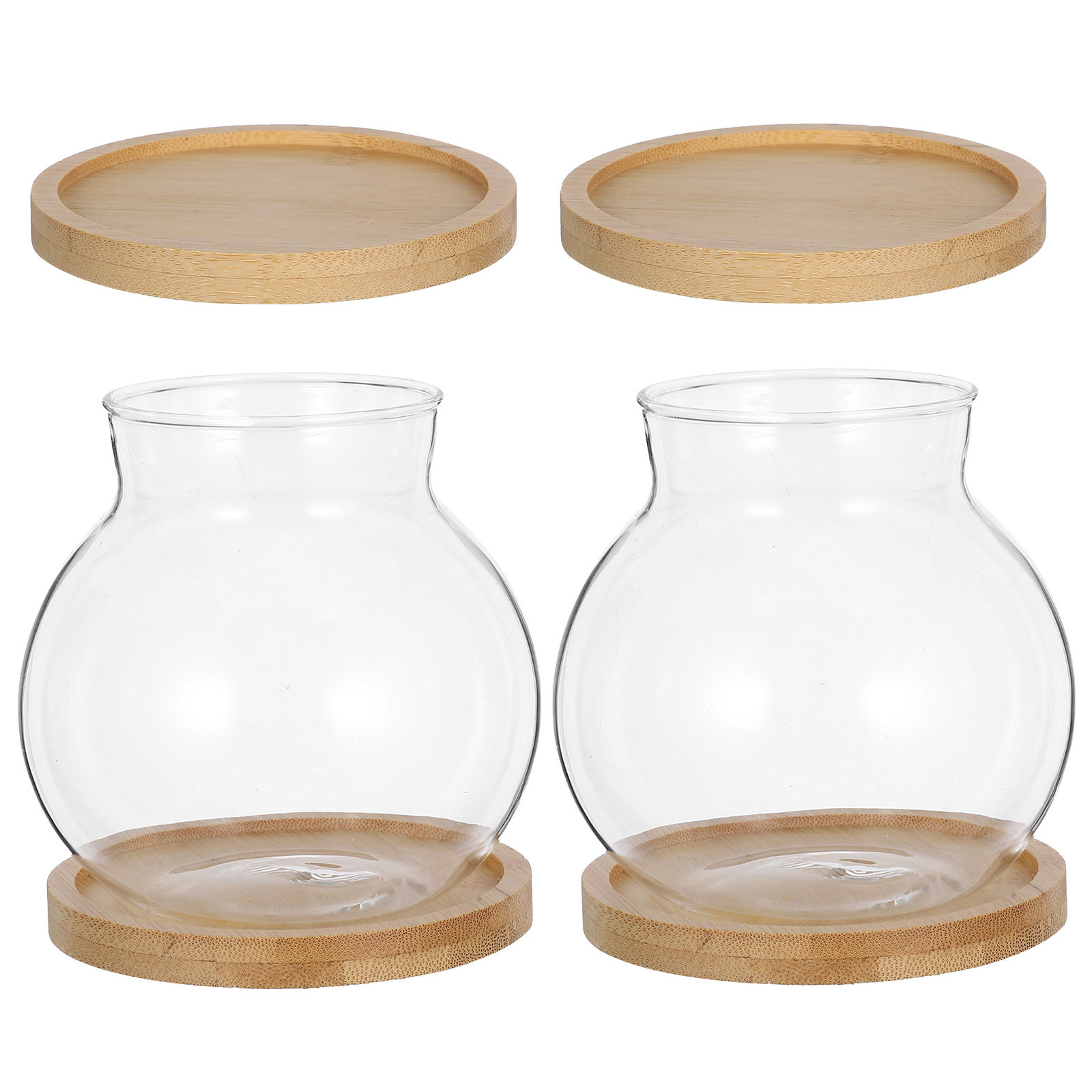 2Set Hydroponic Vase Glass Pro – Propagation Station Vase Bewertung und Preis