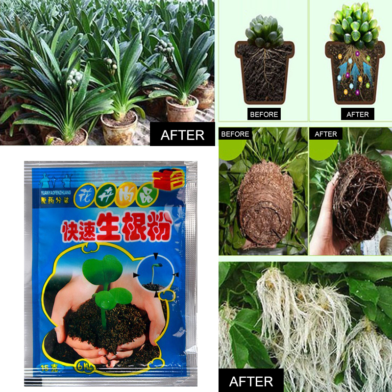 5pcs Fast Rooting Powder Plant – Rooting Hormone Powder Bewertung und Preis