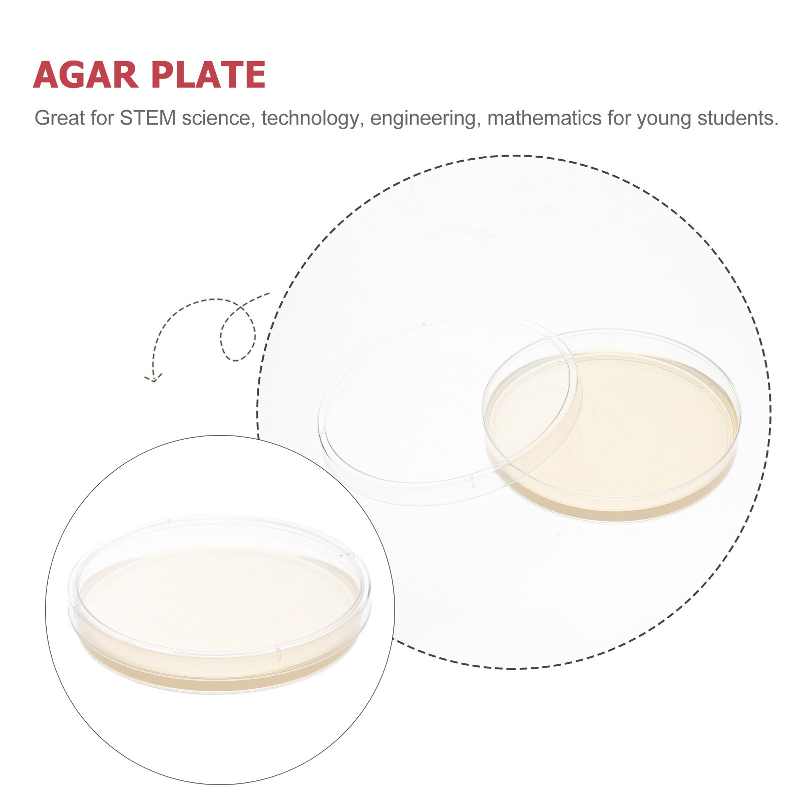 10pcs Nutrient Agar Plates Pre – Agar Tissue Culture Bewertung und Preis