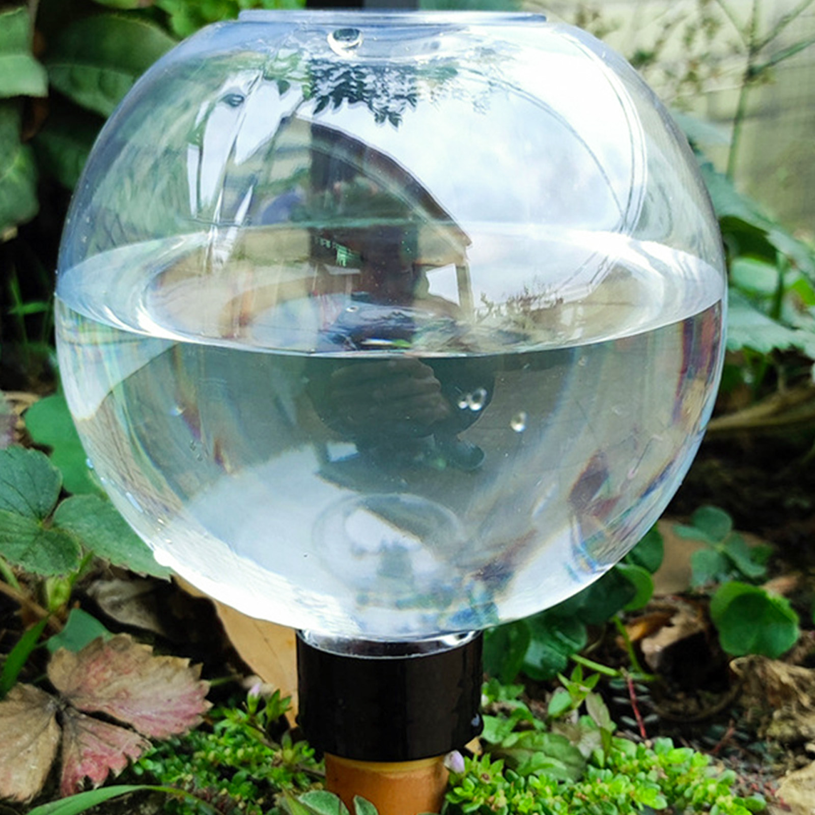 500ML Automatic Plant Watering – Self Watering Insert Bewertung und Preis