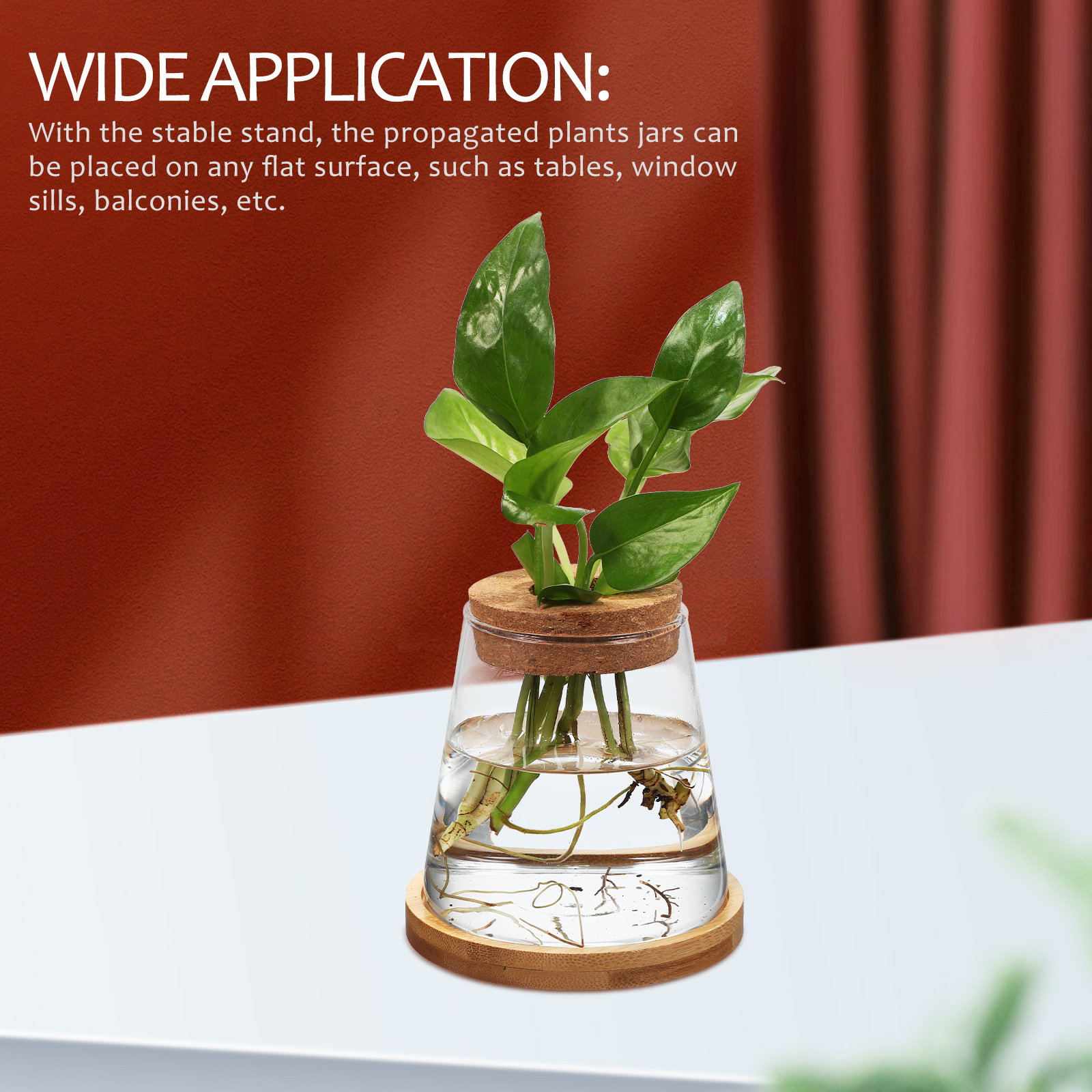 2Pcs Hydroponic Plants Propaga – Propagation Station Vase Bewertung und Preis
