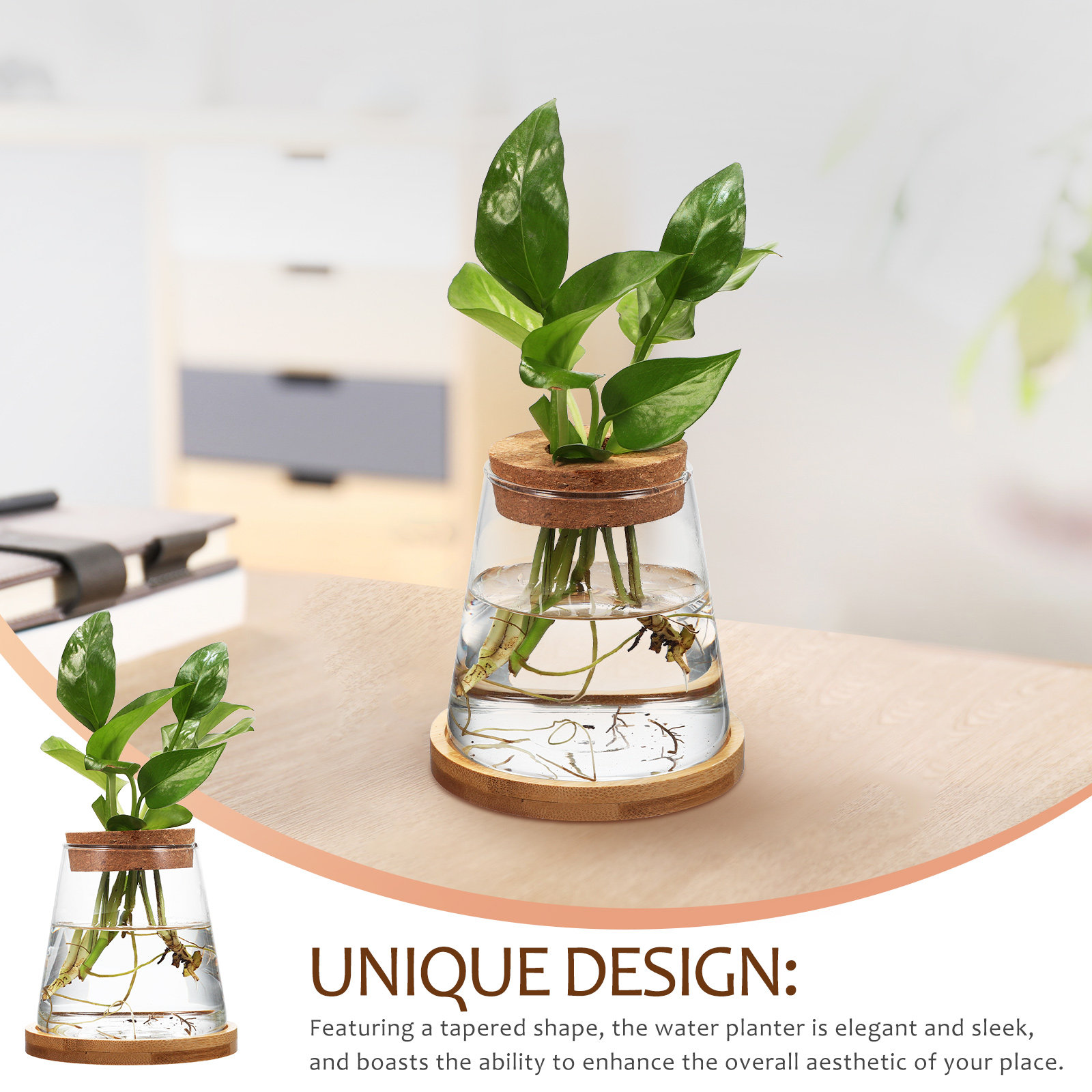 2Pcs Hydroponic Plants Propaga – Propagation Station Vase Bewertung und Preis