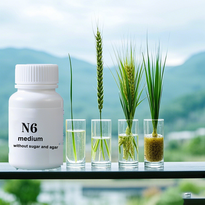 N6 Medium Wtihout Sugar Or Aga – Agar Tissue Culture Bewertung und Preis