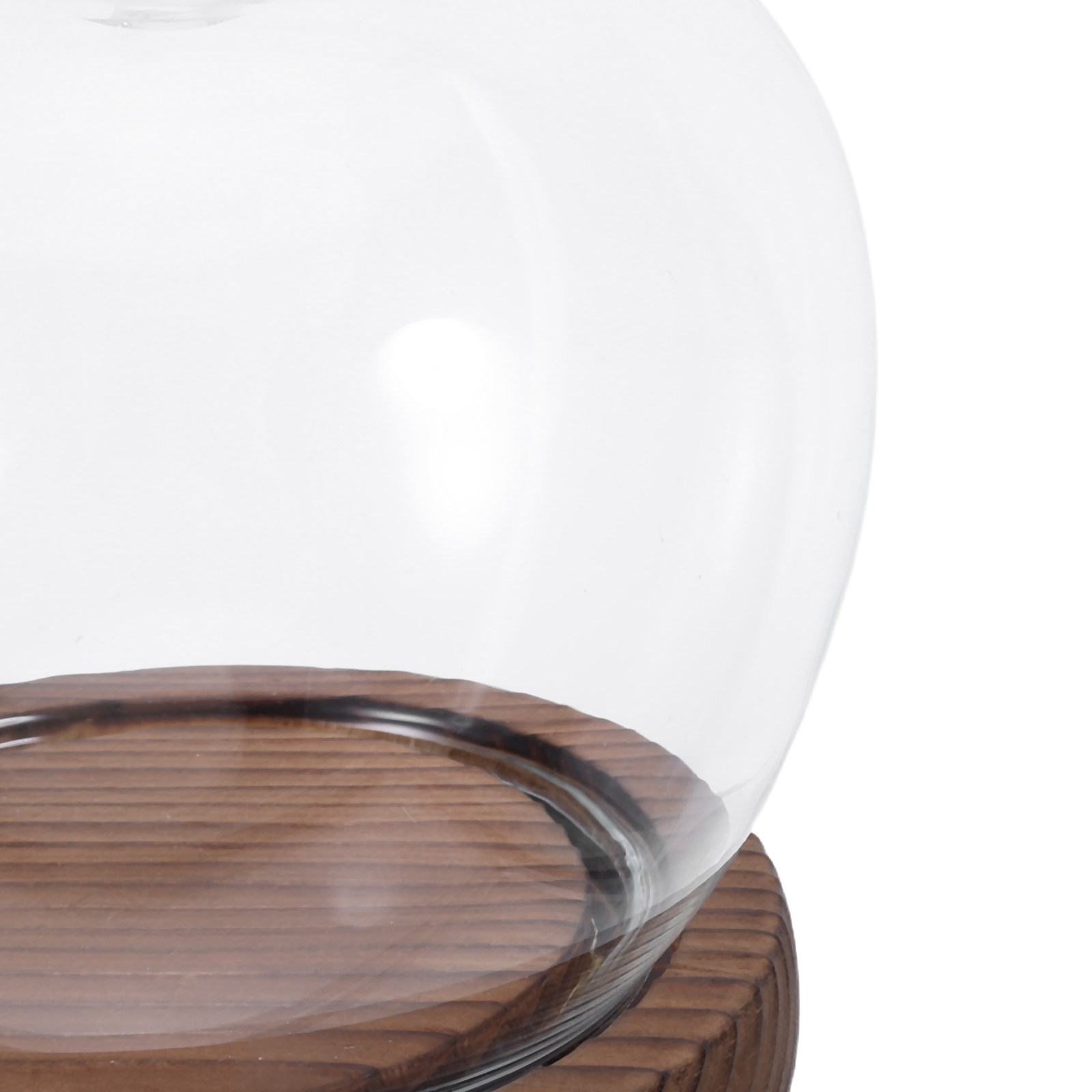 Clear Glass Dome Display with  – Plastic Dome Clear Bewertung und Preis