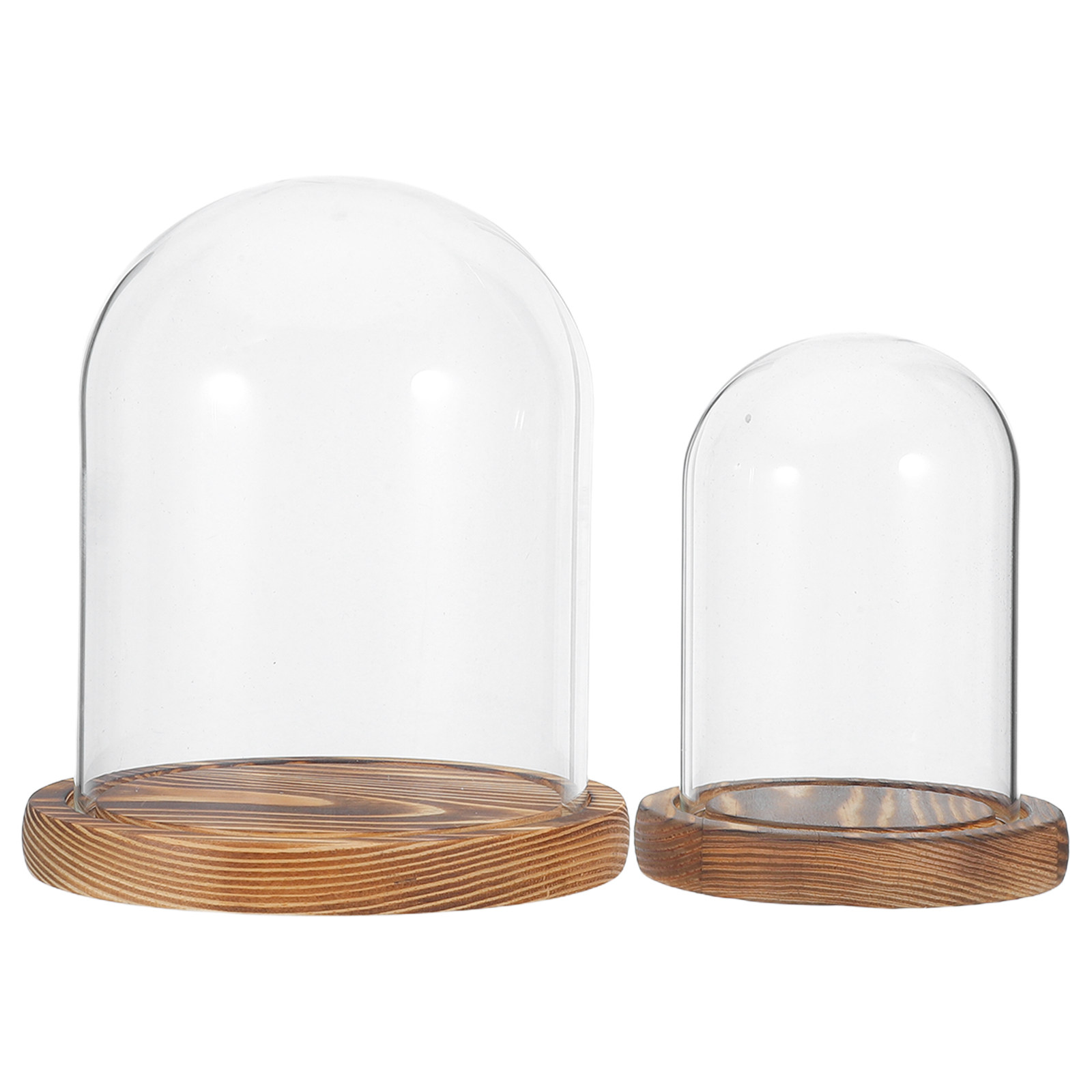 2Sets Clear Glass Display Dome – Plastic Dome Clear Bewertung und Preis