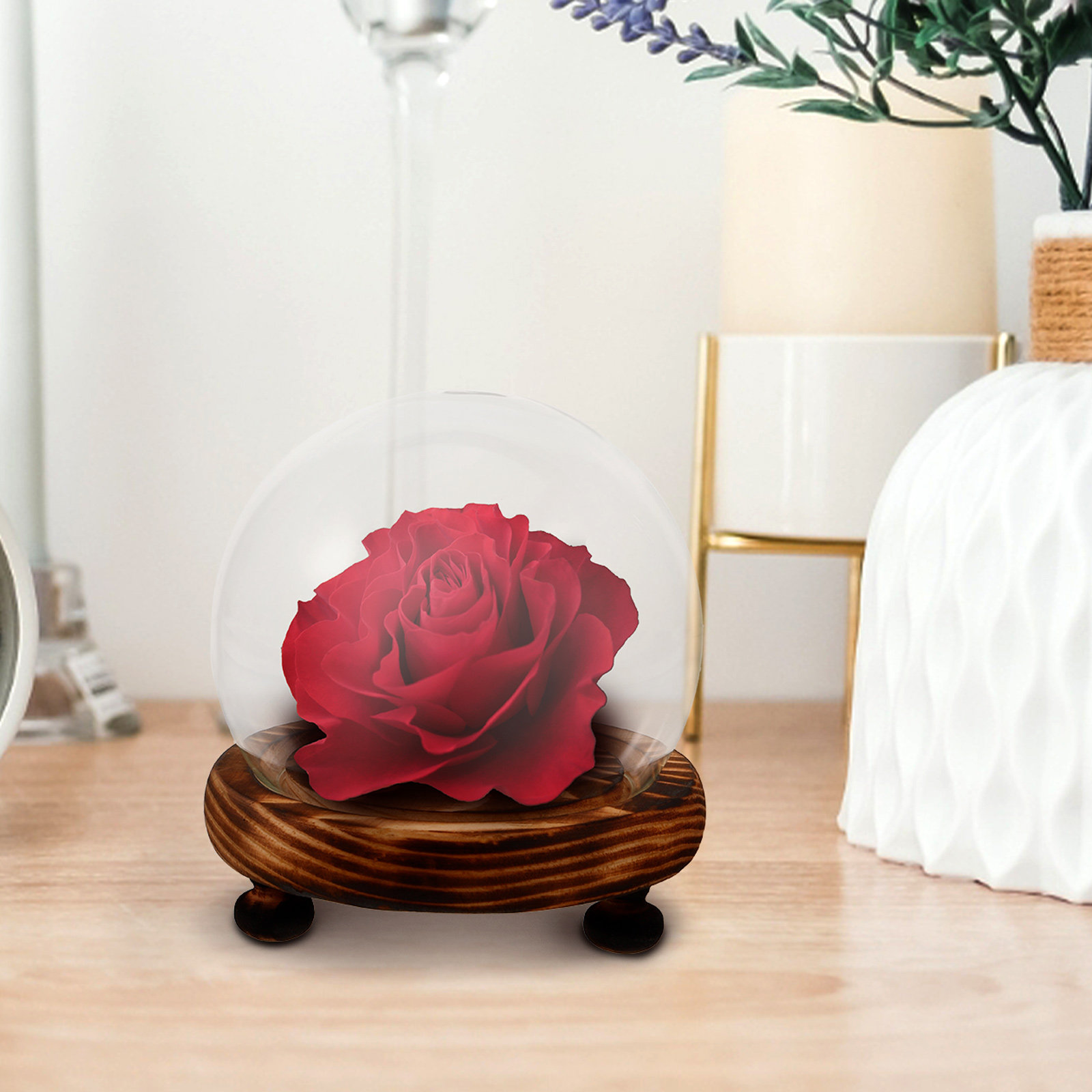 Glass Dome Display Case with W – Plastic Dome Clear Bewertung und Preis