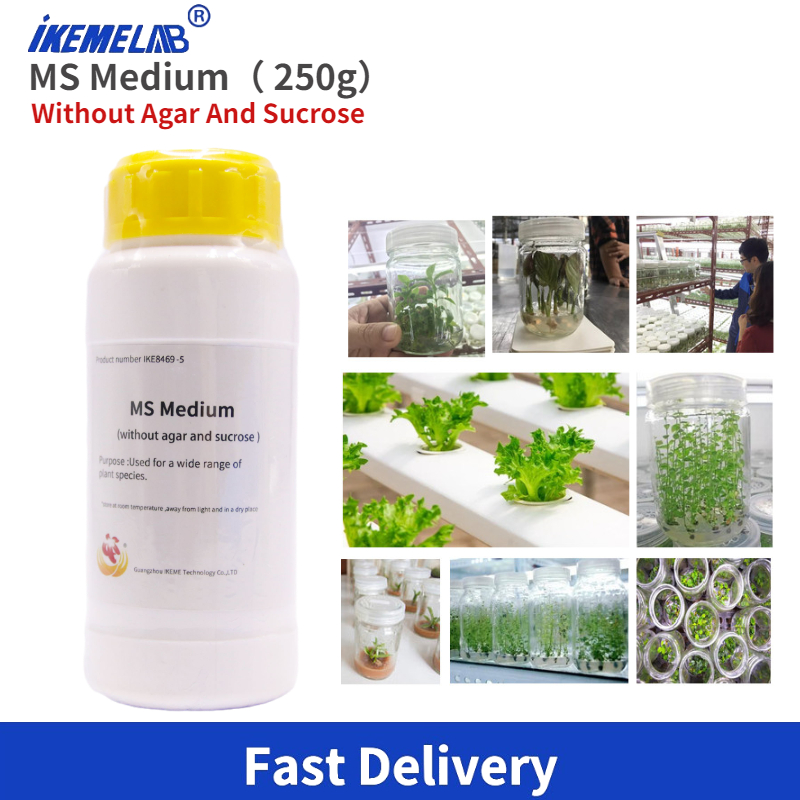 IKEME Lab MS Medium 250g Witho – Agar Tissue Culture Bewertung und Preis
