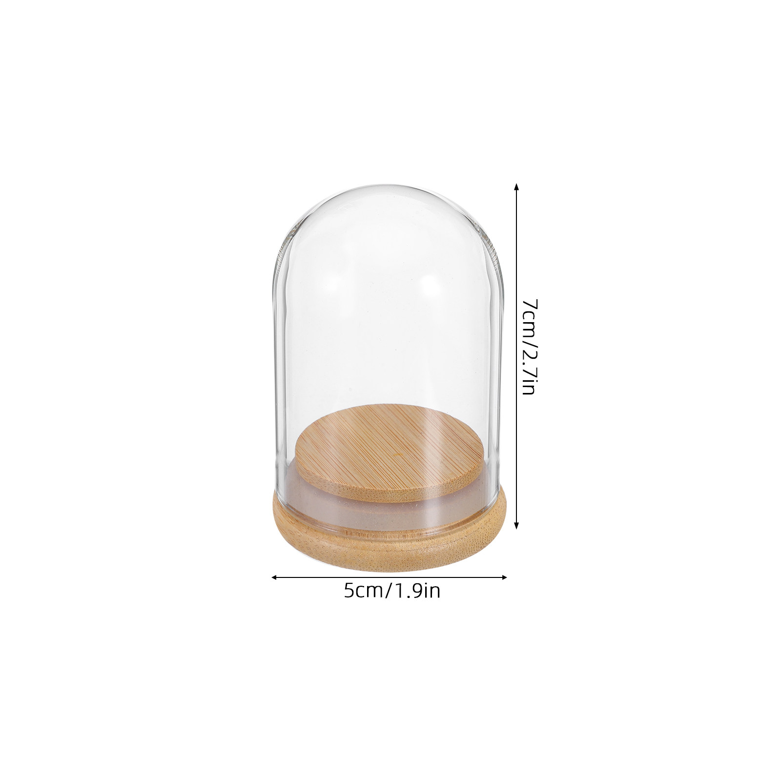 6Pcs Clear Glass Cloche Dome D – Plastic Dome Clear Bewertung und Preis