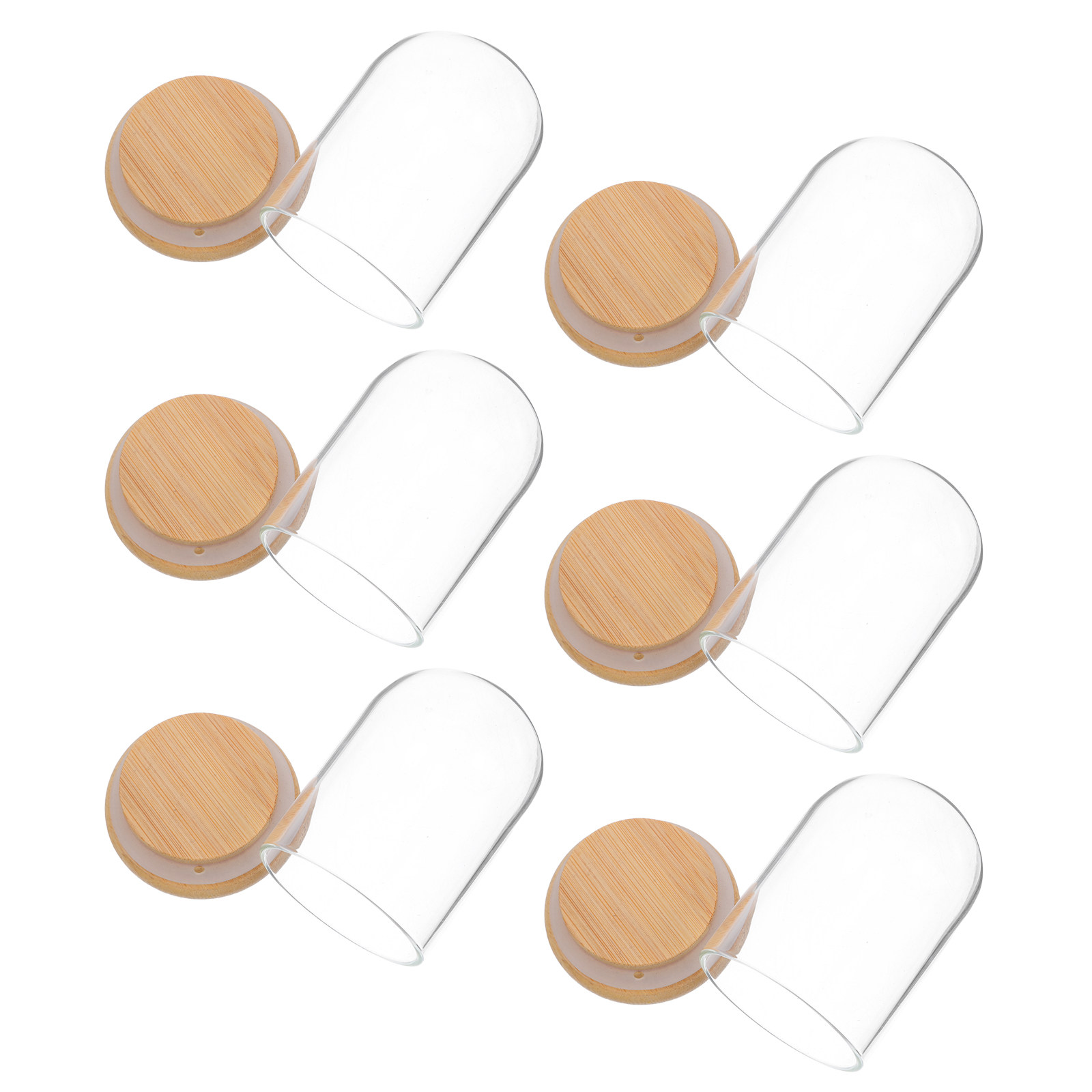 6Pcs Clear Glass Cloche Dome D – Plastic Dome Clear Bewertung und Preis