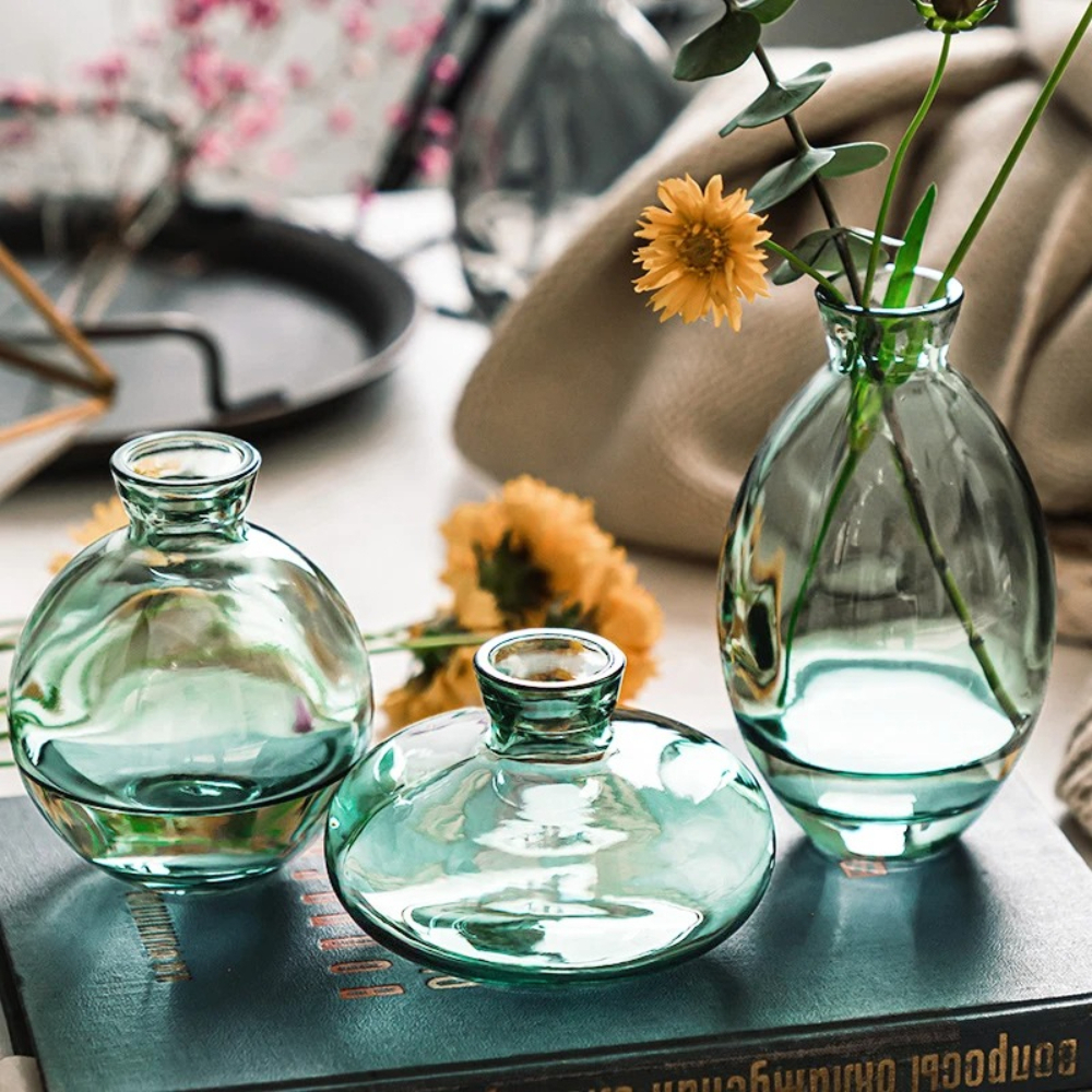 Nordic Transparent Glass Vase  – Propagation Station Vase Bewertung und Preis