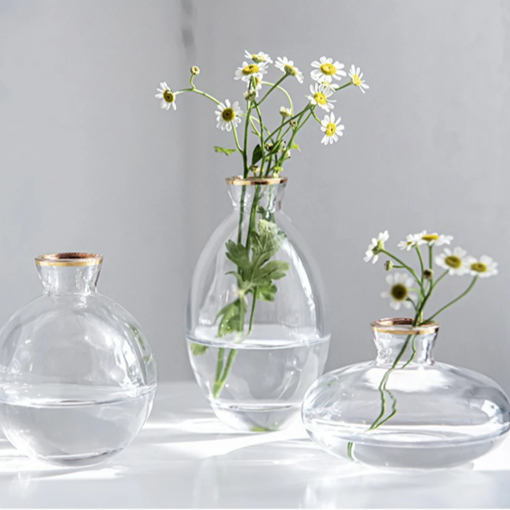 Nordic Transparent Glass Vase  – Propagation Station Vase Bewertung und Preis
