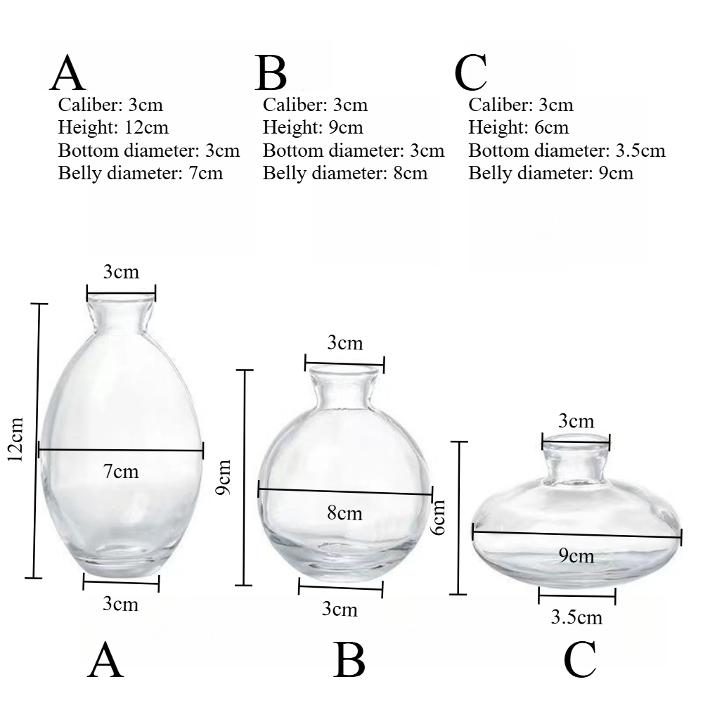 Nordic Transparent Glass Vase  – Propagation Station Vase Bewertung und Preis