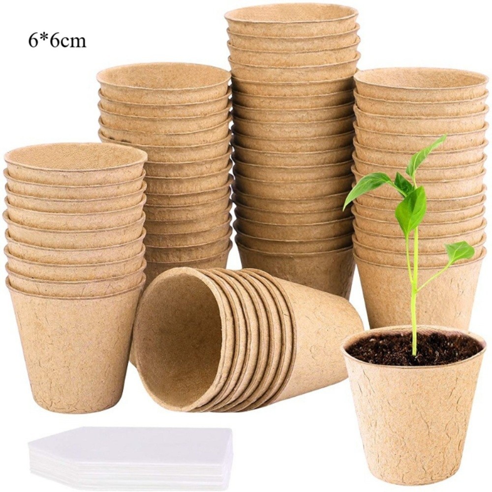 50PCS Biodegradable Plant Star – Peat Pellet Tray Bewertung und Preis