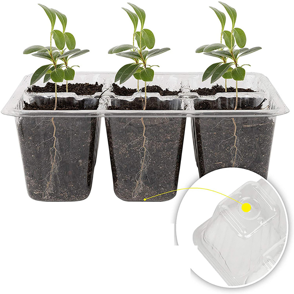Seed Starter Trays with Grow L – Humidity Dome Kit Bewertung und Preis