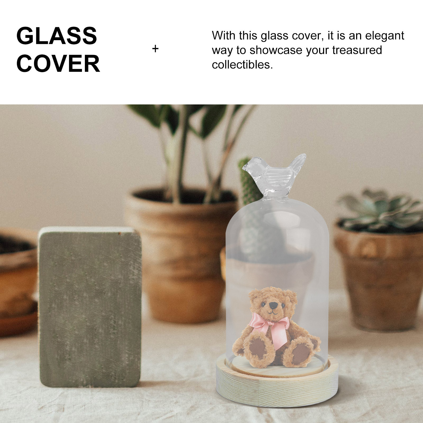 1Pcs Glass Display Cover Clear – Plastic Dome Clear Bewertung und Preis