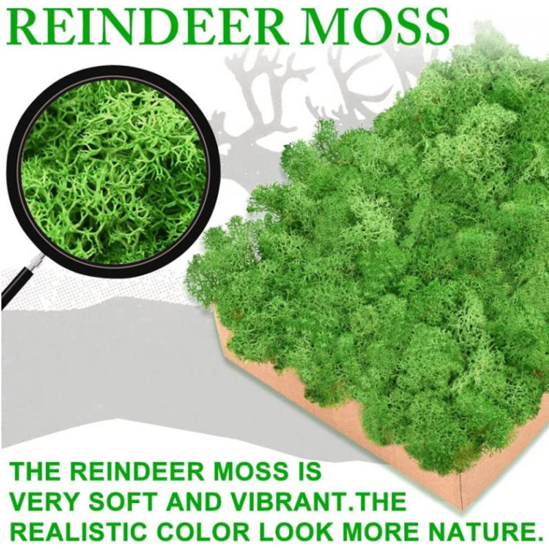 New 50/30/10g Artificial Green – Sphagnum Moss Dry Bewertung und Preis