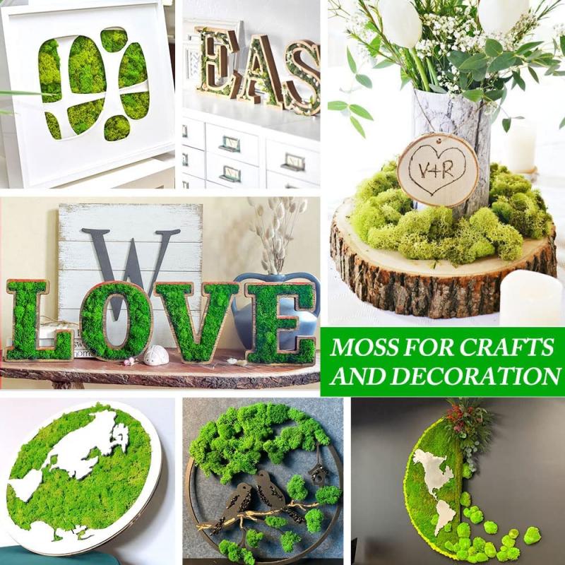 New 50/30/10g Artificial Green – Sphagnum Moss Dry Bewertung und Preis
