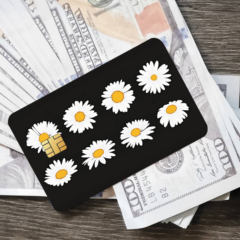 Fashion Art P-Peaceminusone Co – Peat Pellet Tray Bewertung und Preis