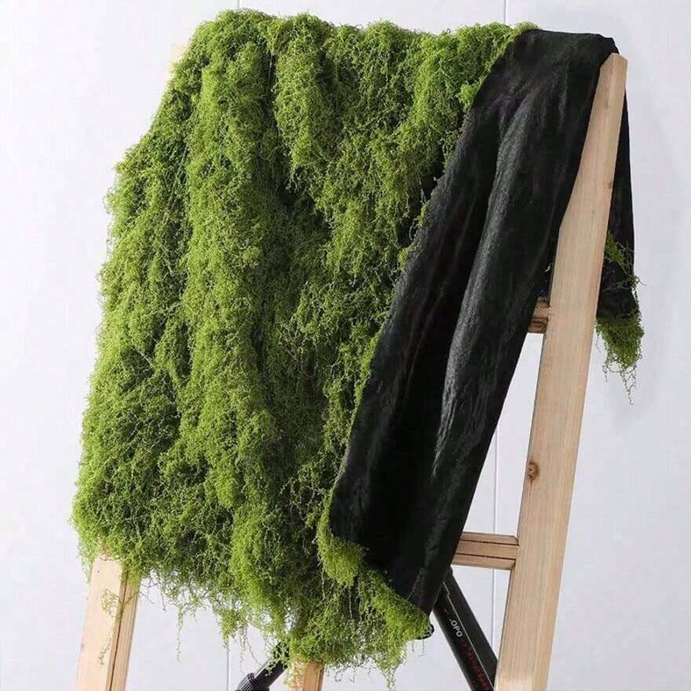 1*1m Fake Moss DIY Crafts Gras – Sphagnum Moss Dry Bewertung und Preis