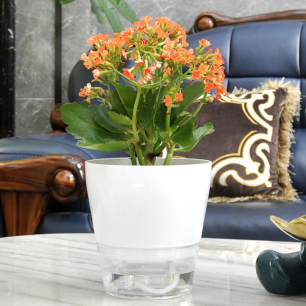 Lazy Flower with Drainage Hole – Self Watering Insert Bewertung und Preis