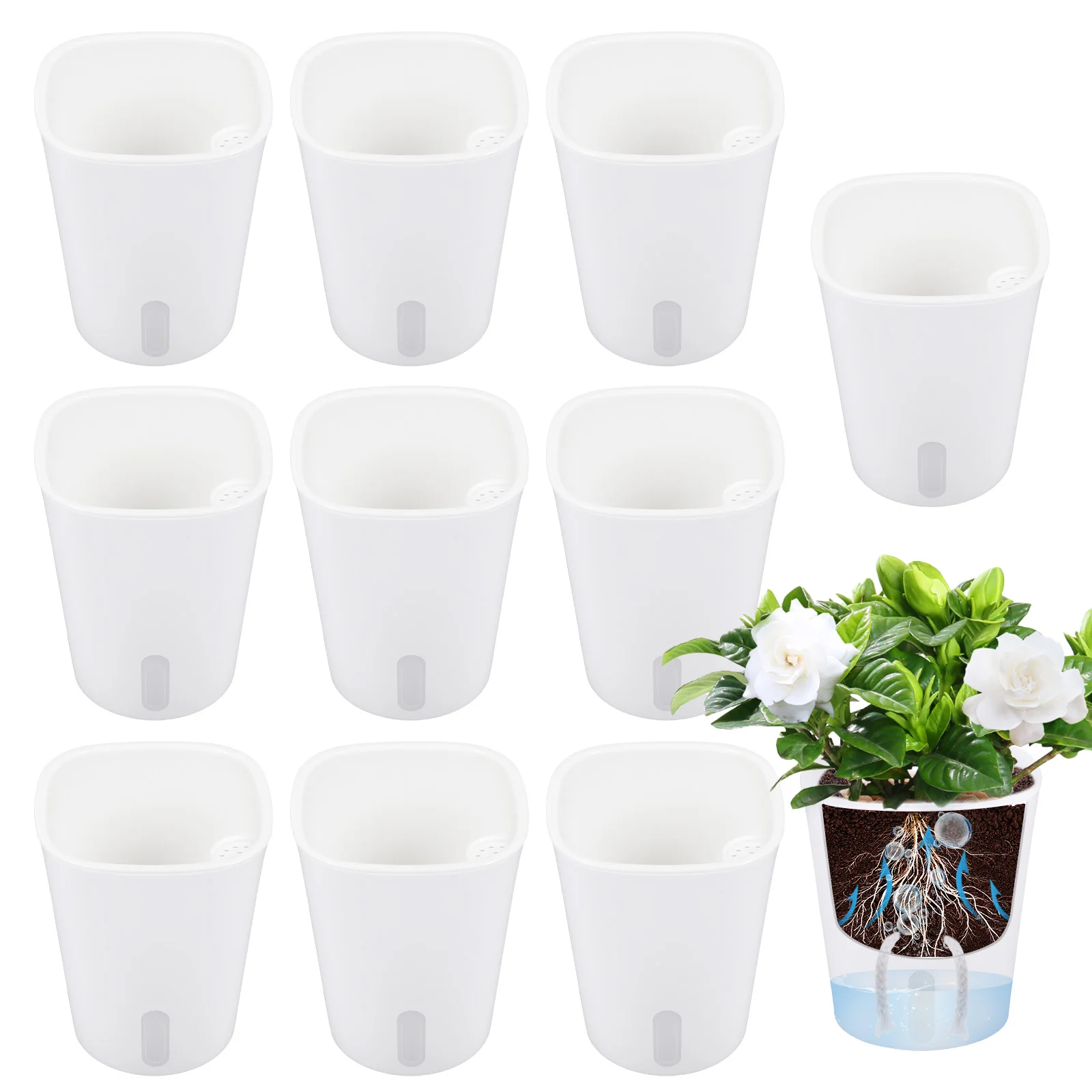 10 Pcs Self Watering Planter L – Self Watering Insert Bewertung und Preis