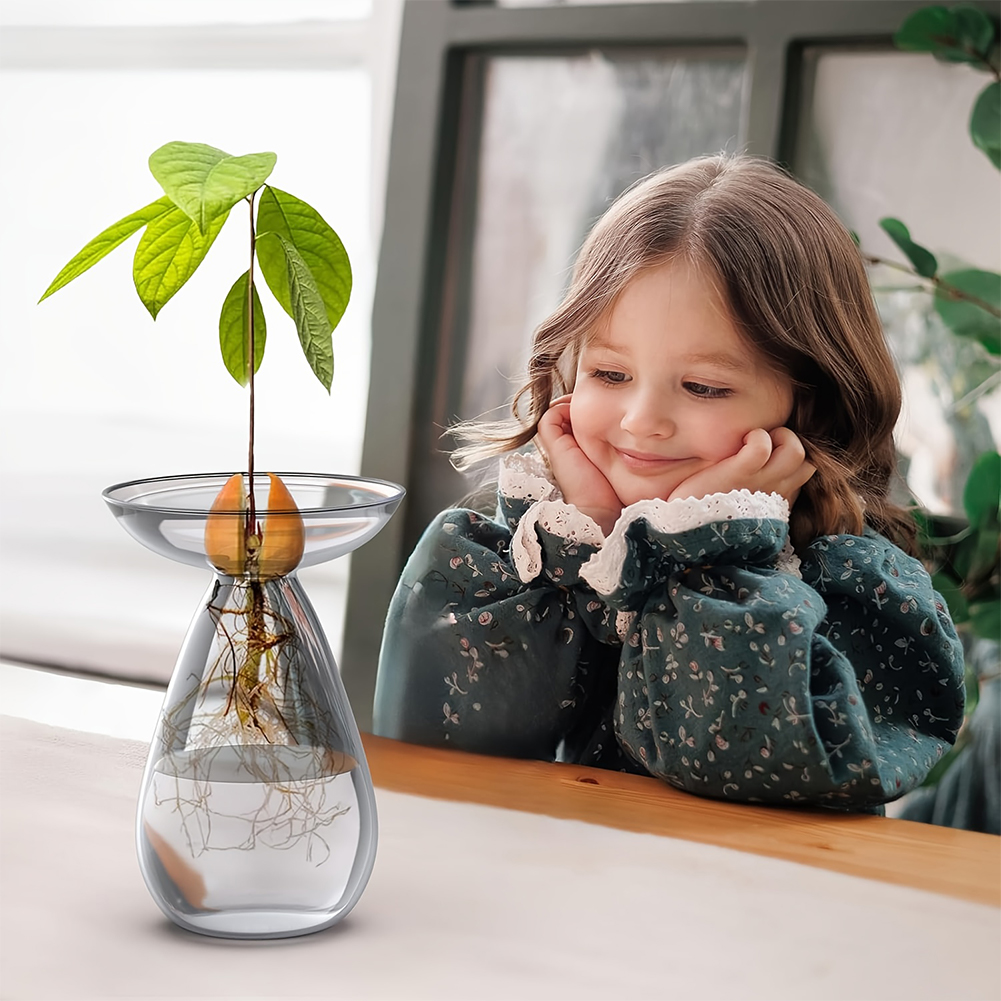 Avocado Seed Starter Vase Tran – Propagation Station Vase Bewertung und Preis